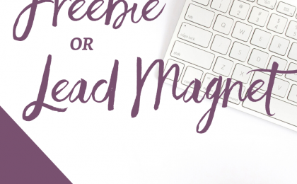 Decide on a Freebie or Lead Magnet