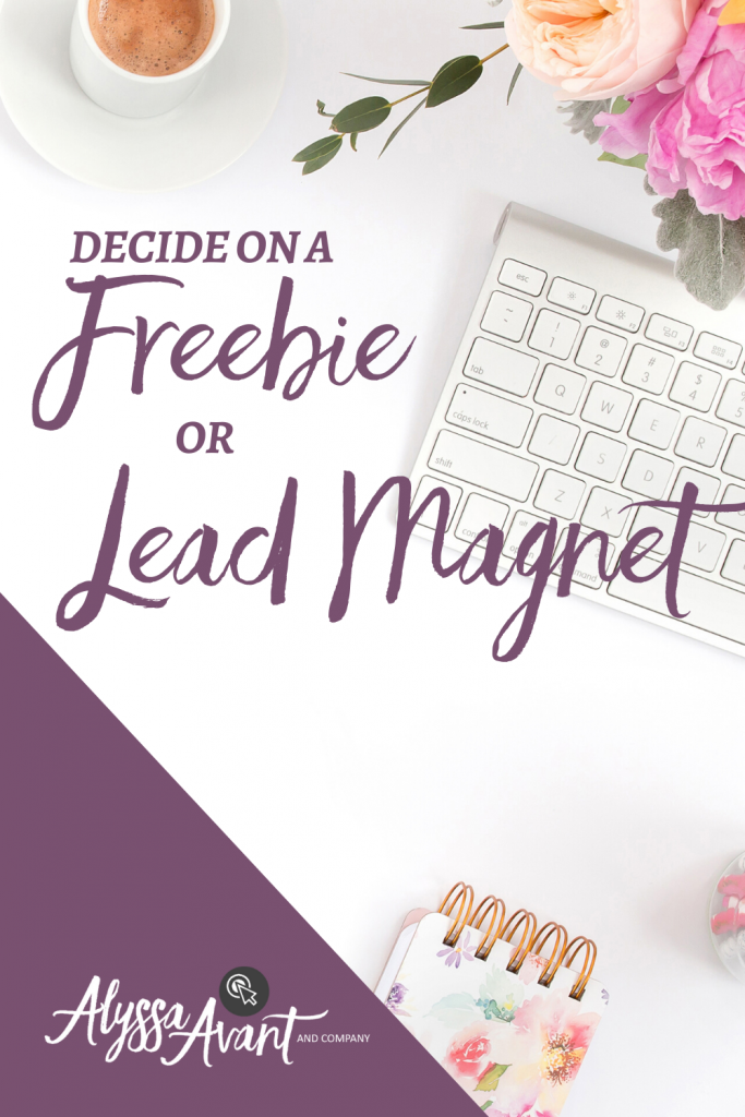 Decide on a Freebie or Lead Magnet