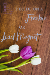 Decide on a Freebie or Lead Magnet