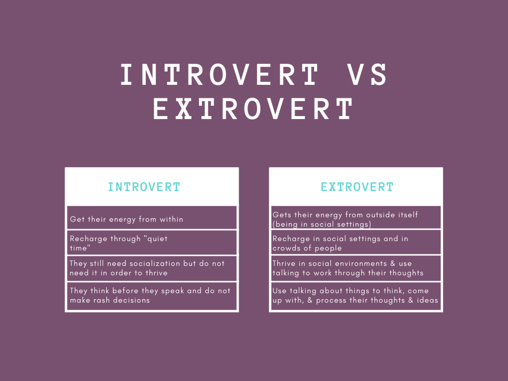 introvert vs extrovert